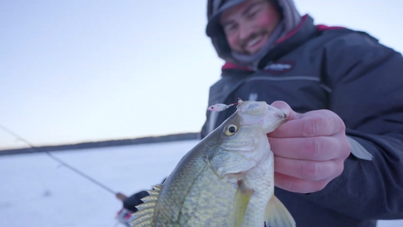 A person holding a crappie caught using bait while ice fishing