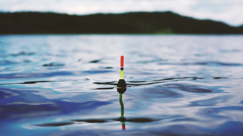 A fishing bobber floating on the water's surface, signaling potential bites