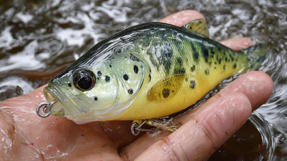 Hand holding a lifelike deep-diving crankbait resembling a small fish