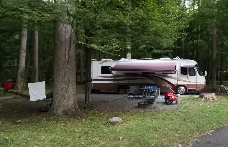 A motorhome nestled amongst towering trees, a tranquil campsite