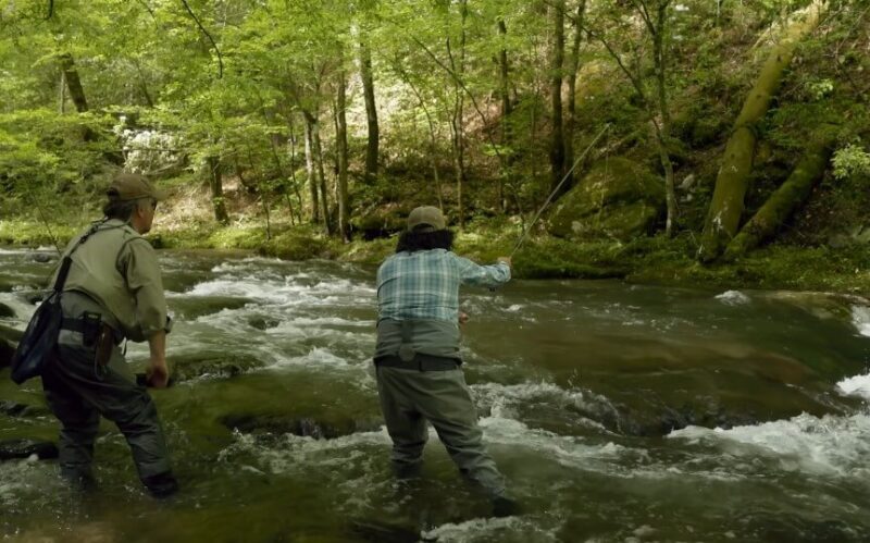 Fishing and Tent Camping Near the Great Smoky Mountains: A Complete Guide