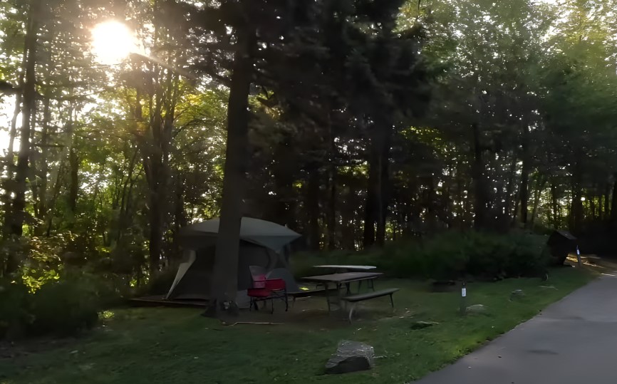 A campground featuring a picnic table beside a tent