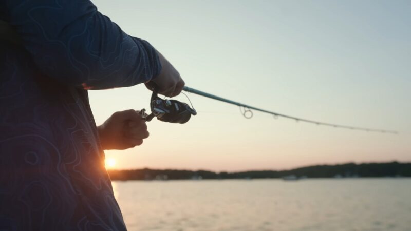 Fishing Seasons and Conditions of Cape Cod Bay