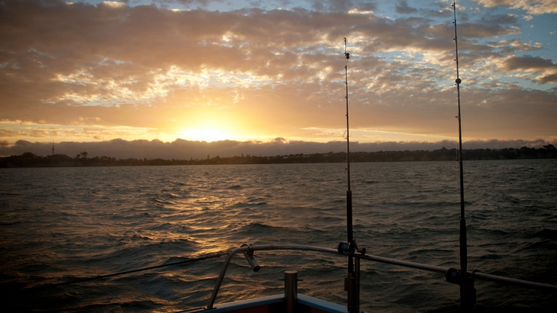 Fishing rods rest on a boat at sunset, reflecting how fishing trips can reignite long-term traditions with friends