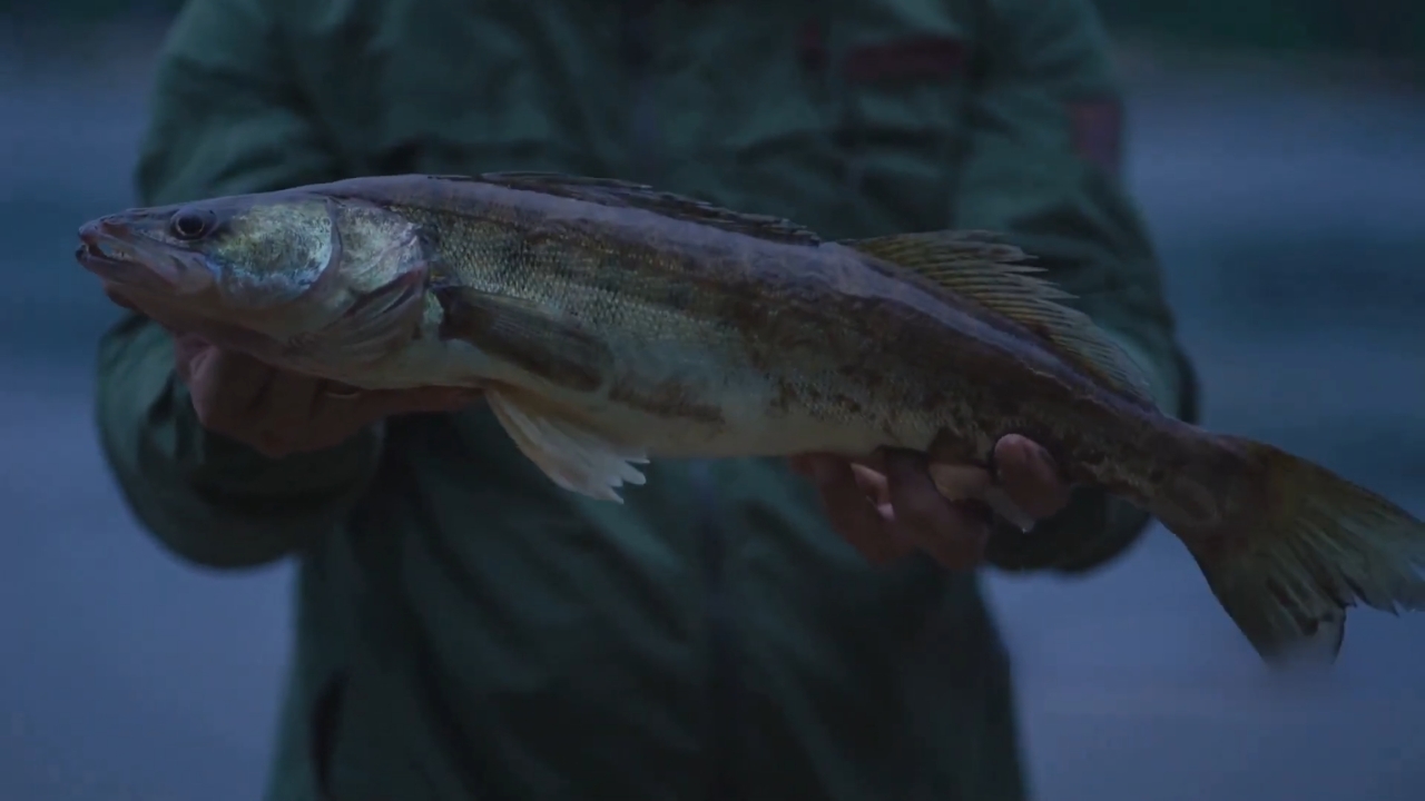 An angler holds a large fish on Lake Champlain