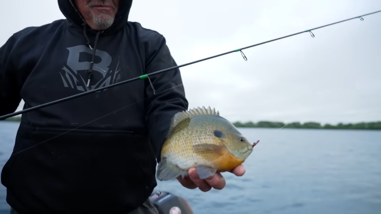 An angler holds a bluegill on a boat at Lake Champlain